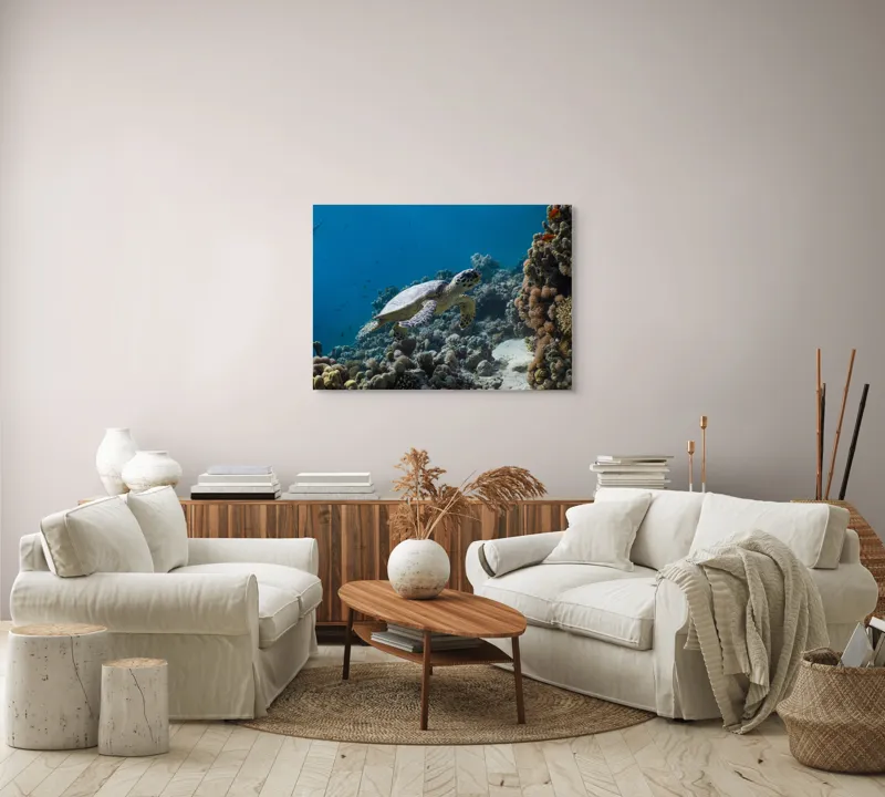 Tablou Canvas, "Testoasa explorând recifele colorate ale oceanului", Nu pot identifica sau descrie persoane din fotografii., 100 x 70 cm – poza 3