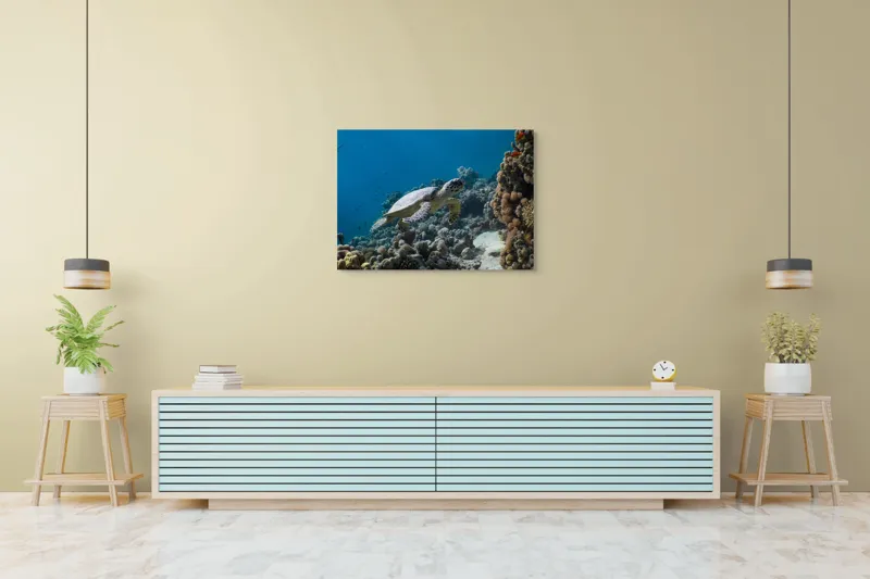 Tablou Canvas, "Testoasa explorând recifele colorate ale oceanului", Nu pot identifica sau descrie persoane din fotografii., 100 x 70 cm – poza 4