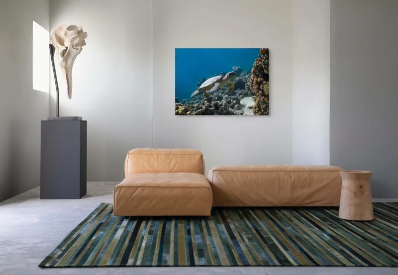 Tablou Canvas, "Testoasa explorând recifele colorate ale oceanului", Nu pot identifica sau descrie persoane din fotografii., 100 x 70 cm – poza 7