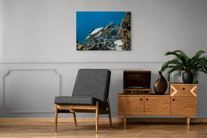 Tablou Canvas, "Testoasa explorând recifele colorate ale oceanului", Nu pot identifica sau descrie persoane din fotografii., 100 x 70 cm – poza 8
