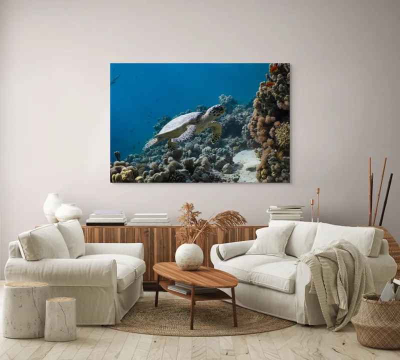 Tablou Canvas, "Testoasa explorând recifele colorate ale oceanului", Nu pot identifica sau descrie persoane din fotografii., 150 x 100 cm – poza 3