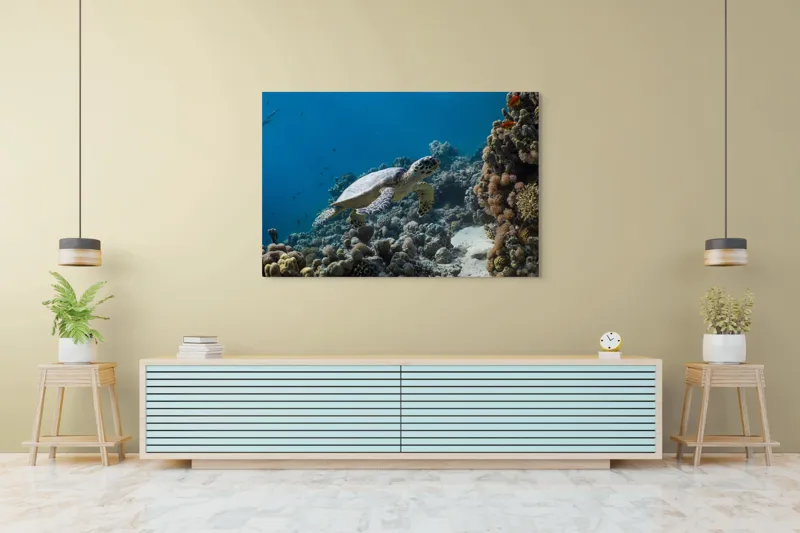 Tablou Canvas, "Testoasa explorând recifele colorate ale oceanului", Nu pot identifica sau descrie persoane din fotografii., 150 x 100 cm – poza 6