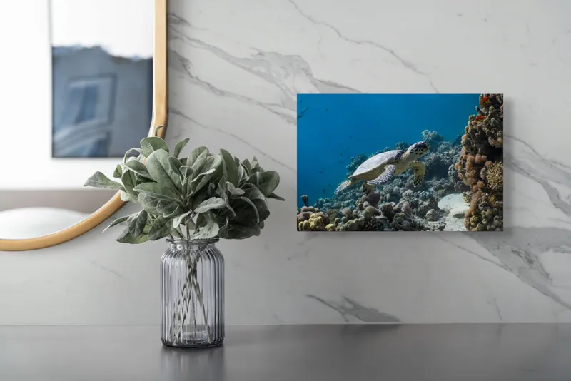 Tablou Canvas, "Testoasa explorând recifele colorate ale oceanului", Nu pot identifica sau descrie persoane din fotografii., 39 x 26 cm – poza 5