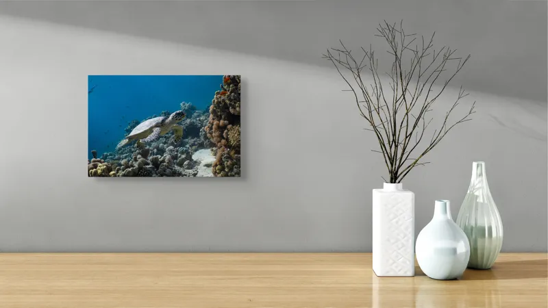 Tablou Canvas, "Testoasa explorând recifele colorate ale oceanului", Nu pot identifica sau descrie persoane din fotografii., 39 x 26 cm – poza 8