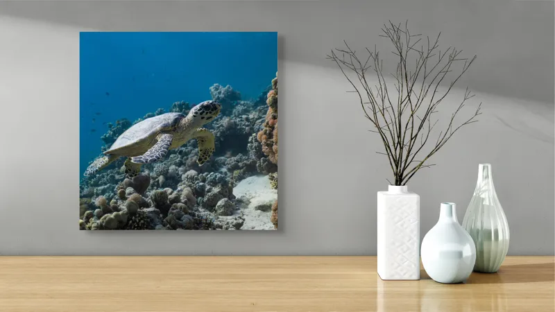 Tablou Canvas, "Testoasa explorând recifele colorate ale oceanului", 50 x 50 cm – poza 3