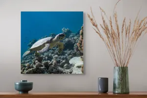 Tablou Canvas, "Testoasa explorând recifele colorate ale oceanului", 50 x 50 cm – poza 4