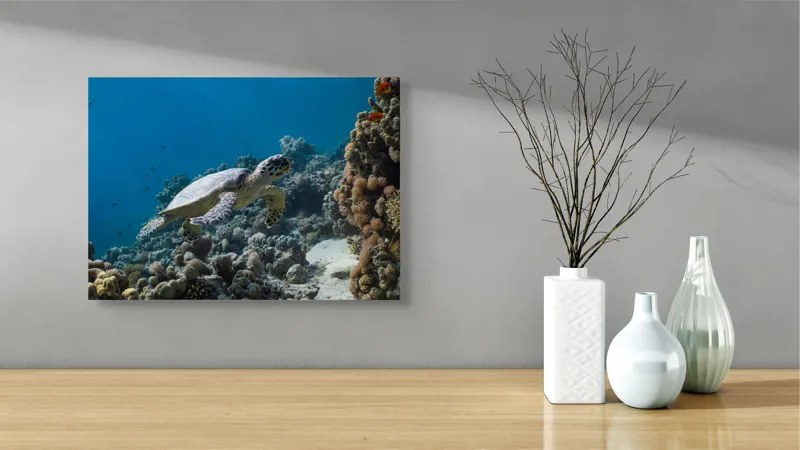 Tablou Canvas, "Testoasa explorând recifele colorate ale oceanului", Nu pot identifica sau descrie persoane din fotografii., 54 x 39 cm – poza 3