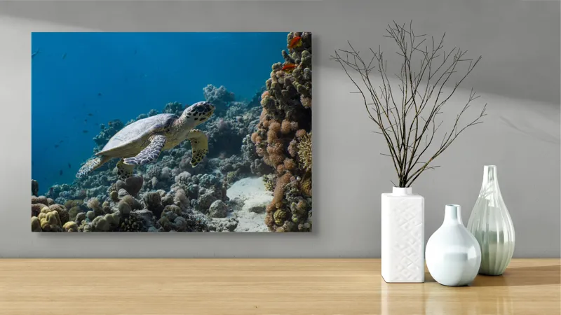 Tablou Canvas, "Testoasa explorând recifele colorate ale oceanului", Nu pot identifica sau descrie persoane din fotografii., 70 x 50 cm – poza 3