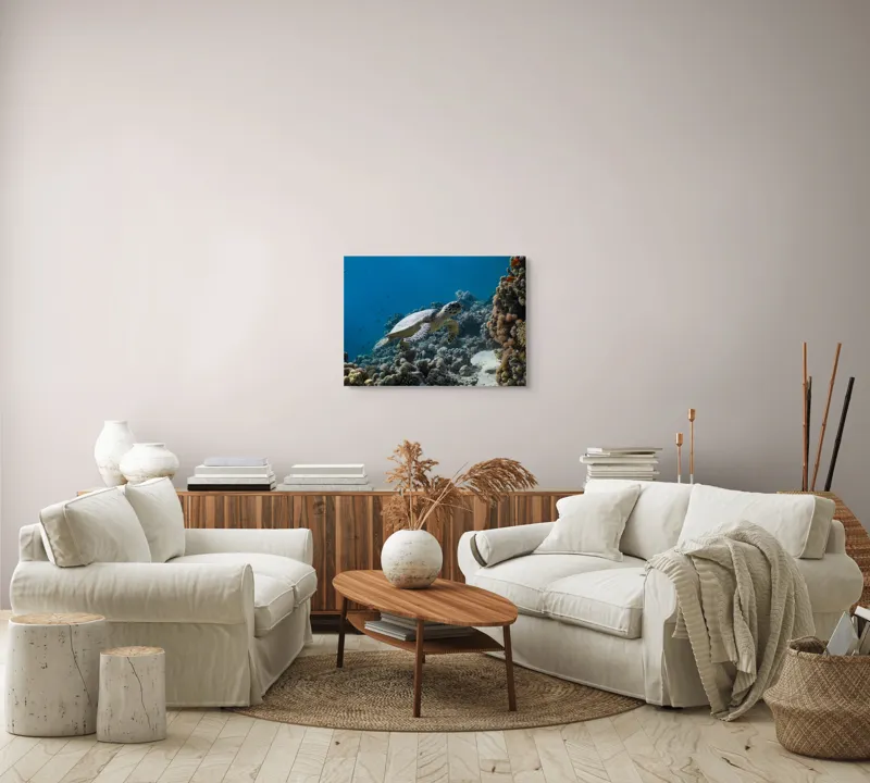 Tablou Canvas, "Testoasa explorând recifele colorate ale oceanului", Nu pot identifica sau descrie persoane din fotografii., 70 x 50 cm – poza 6