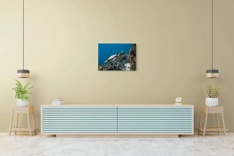 Tablou Canvas, "Testoasa explorând recifele colorate ale oceanului", Nu pot identifica sau descrie persoane din fotografii., 70 x 50 cm – poza 7