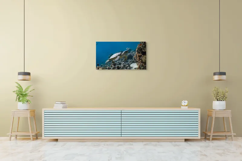 Tablou Canvas, "Testoasa explorând recifele colorate ale oceanului", Nu pot identifica sau descrie persoane din fotografii., 90 x 50 cm – poza 5