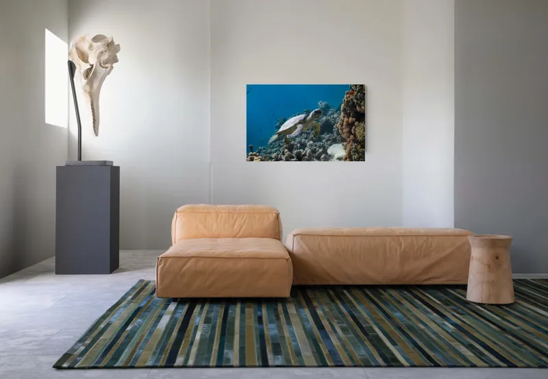 Tablou Canvas, "Testoasa explorând recifele colorate ale oceanului", Nu pot identifica sau descrie persoane din fotografii., 90 x 50 cm – poza 8