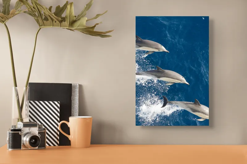 Tablou Canvas, "Dansul grațios al delfinilor în valuri", Delfini, Ocean, Sărituri, Apă, Albastru, Energie, Libertate, Natură, Dinamică, Lumină, 26 x 39 cm – poza 3
