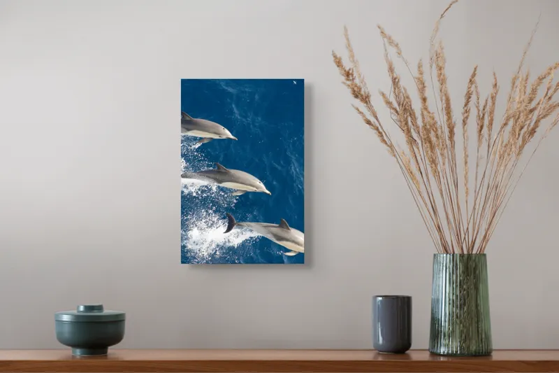 Tablou Canvas, "Dansul grațios al delfinilor în valuri", Delfini, Ocean, Sărituri, Apă, Albastru, Energie, Libertate, Natură, Dinamică, Lumină, 26 x 39 cm – poza 5