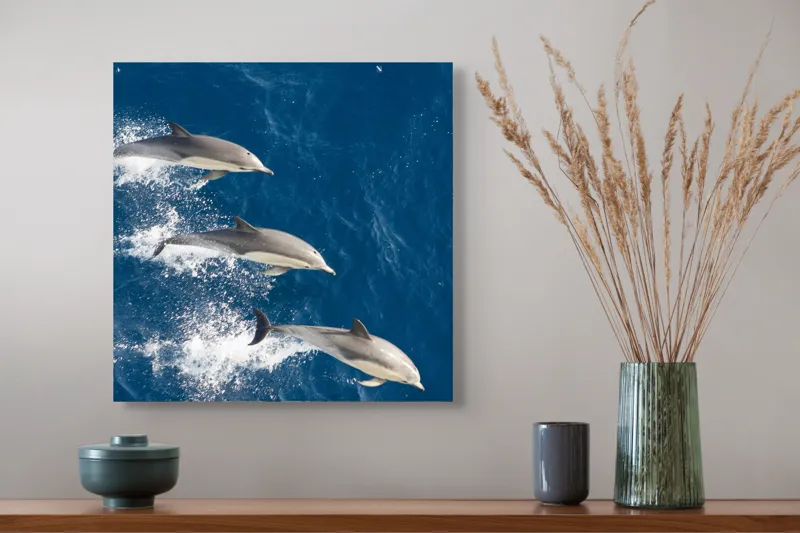 Tablou Canvas, "Dansul grațios al delfinilor în valuri", Delfini, Ocean, Sărituri, Apă, Albastru, Energie, Libertate, Natură, Dinamică, Lumină, 50 x 50 cm – poza 4