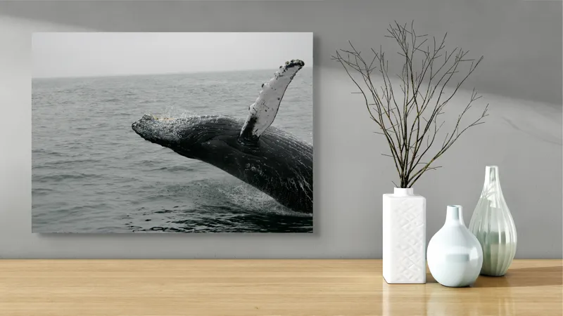 Tablou Canvas, "Dansul grandios al balenei în valuri", Balena, Ocean, Valuri, Apă, Cer, Aripioară, Natură, Salt, Măreție, 70 x 50 cm – poza 3