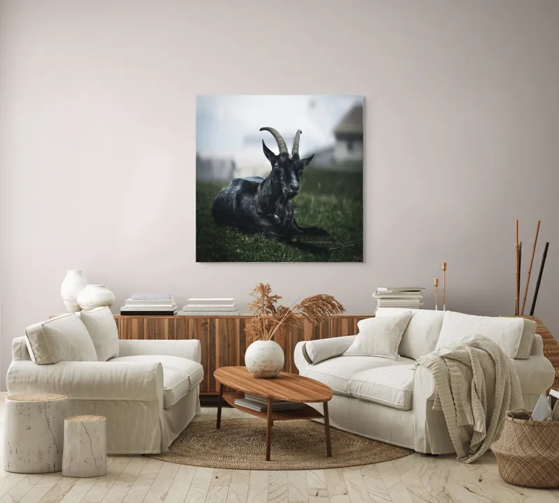 Tablou Canvas, "Capra neagră pe pajiștea alpină", Capră, Cornuri, Blană, Verdeață, Cer, Relaxare, Natură, Rurale, 100 x 100 cm – poza 3