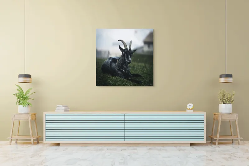 Tablou Canvas, "Capra neagră pe pajiștea alpină", Capră, Cornuri, Blană, Verdeață, Cer, Relaxare, Natură, Rurale, 100 x 100 cm – poza 5