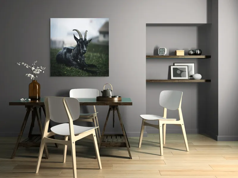 Tablou Canvas, "Capra neagră pe pajiștea alpină", Capră, Cornuri, Blană, Verdeață, Cer, Relaxare, Natură, Rurale, 100 x 100 cm – poza 6