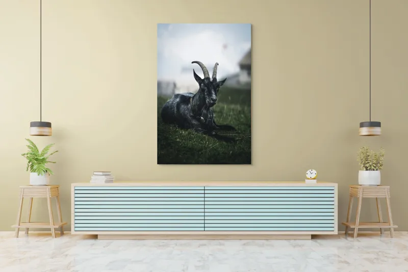 Tablou Canvas, "Capra neagră pe pajiștea alpină", Capră, Cornuri, Blană, Verdeață, Cer, Relaxare, Natură, Rurale, 100 x 150 cm – poza 4