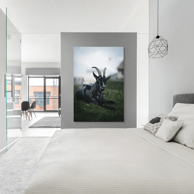 Tablou Canvas, "Capra neagră pe pajiștea alpină", Capră, Cornuri, Blană, Verdeață, Cer, Relaxare, Natură, Rurale, 100 x 150 cm – poza 5