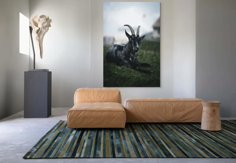 Tablou Canvas, "Capra neagră pe pajiștea alpină", Capră, Cornuri, Blană, Verdeață, Cer, Relaxare, Natură, Rurale, 100 x 150 cm – poza 7