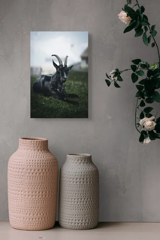Tablou Canvas, "Capra neagră pe pajiștea alpină", Capră, Cornuri, Blană, Verdeață, Cer, Relaxare, Natură, Rurale, 26 x 39 cm – poza 6