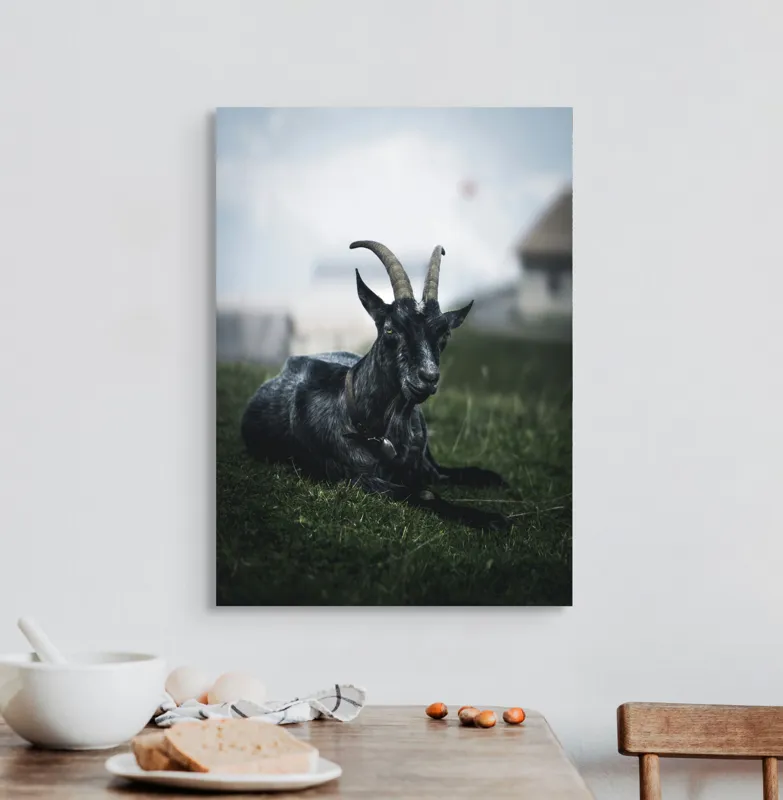 Tablou Canvas, "Capra neagră pe pajiștea alpină", Capră, Cornuri, Blană, Verdeață, Cer, Relaxare, Natură, Rurale, 50 x 70 cm – poza 3