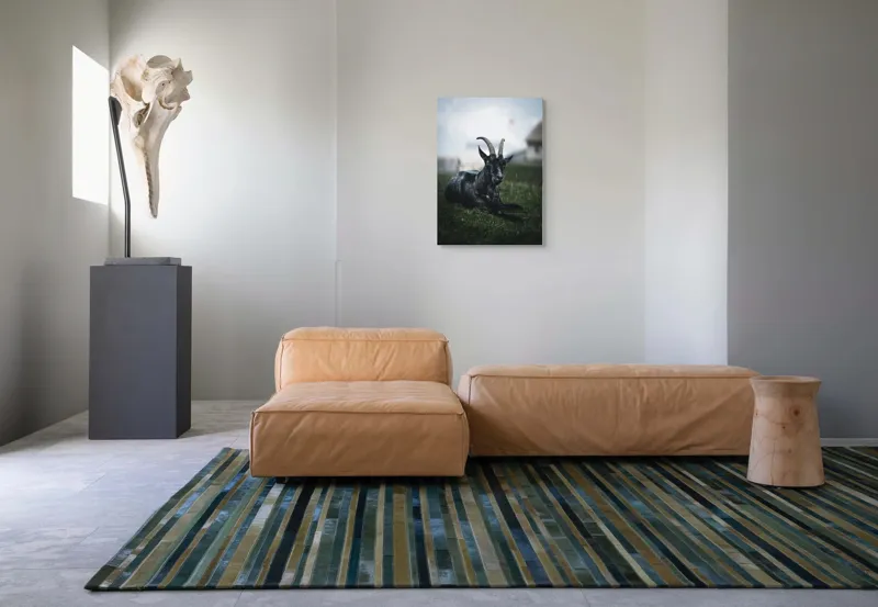 Tablou Canvas, "Capra neagră pe pajiștea alpină", Capră, Cornuri, Blană, Verdeață, Cer, Relaxare, Natură, Rurale, 50 x 70 cm – poza 7