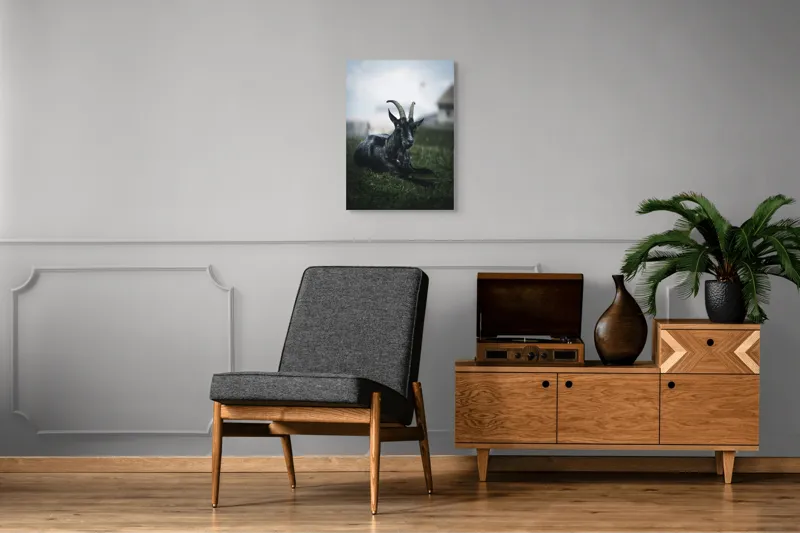 Tablou Canvas, "Capra neagră pe pajiștea alpină", Capră, Cornuri, Blană, Verdeață, Cer, Relaxare, Natură, Rurale, 50 x 70 cm – poza 8