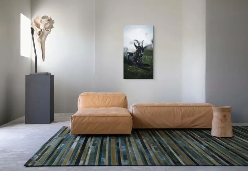 Tablou Canvas, "Capra neagră pe pajiștea alpină", Capră, Cornuri, Blană, Verdeață, Cer, Relaxare, Natură, Rurale, 50 x 90 cm – poza 5