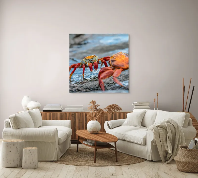 Tablou Canvas, "Dansul crabilor pe stânci umede", Crabi, Stâncă, Apă, Picioare, Carapace, Textură, Natură, Ocean, 100 x 100 cm – poza 3