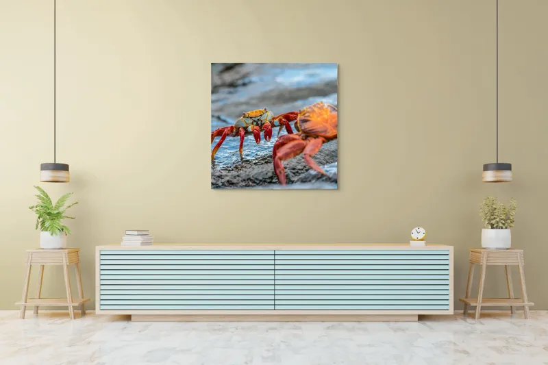 Tablou Canvas, "Dansul crabilor pe stânci umede", Crabi, Stâncă, Apă, Picioare, Carapace, Textură, Natură, Ocean, 100 x 100 cm – poza 5