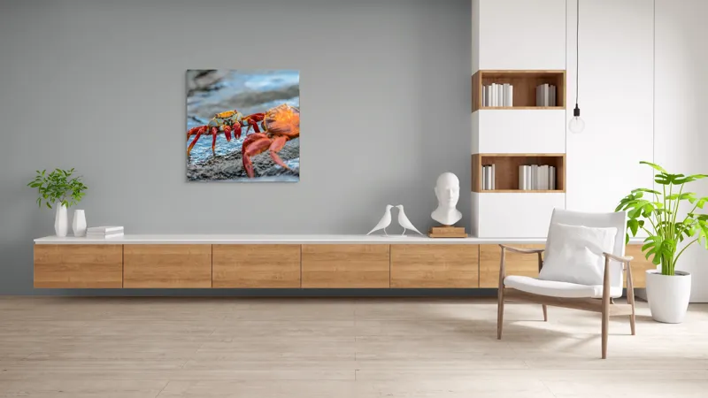 Tablou Canvas, "Dansul crabilor pe stânci umede", Crabi, Stâncă, Apă, Picioare, Carapace, Textură, Natură, Ocean, 100 x 100 cm – poza 8