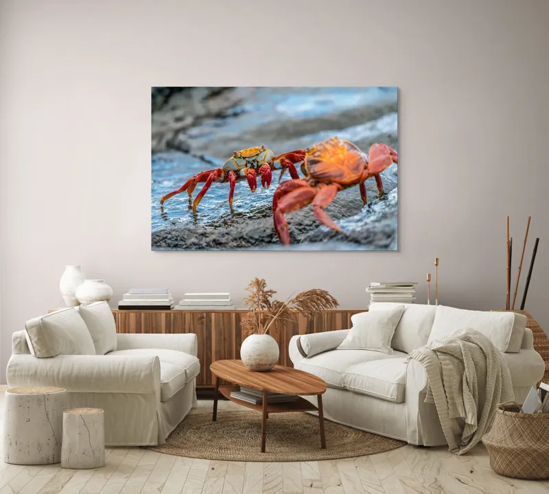 Tablou Canvas, "Dansul crabilor pe stânci umede", Crabi, Stâncă, Apă, Picioare, Carapace, Textură, Natură, Ocean, 150 x 100 cm – poza 3