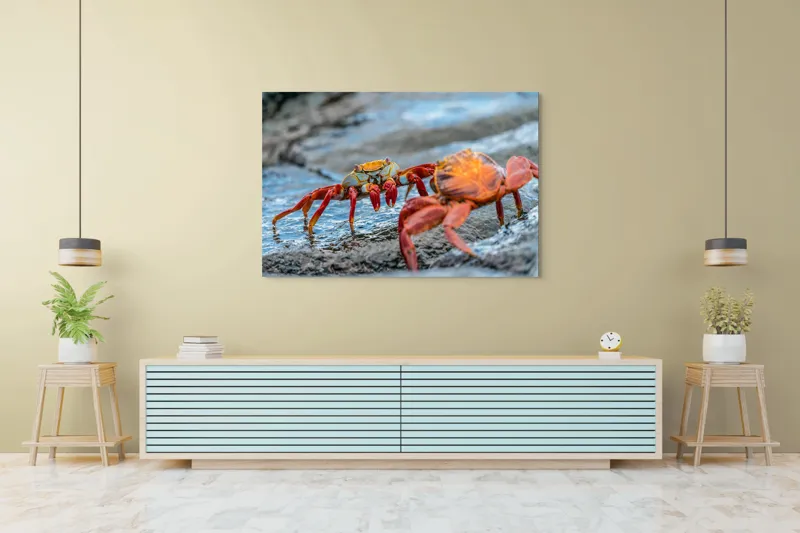 Tablou Canvas, "Dansul crabilor pe stânci umede", Crabi, Stâncă, Apă, Picioare, Carapace, Textură, Natură, Ocean, 150 x 100 cm – poza 6