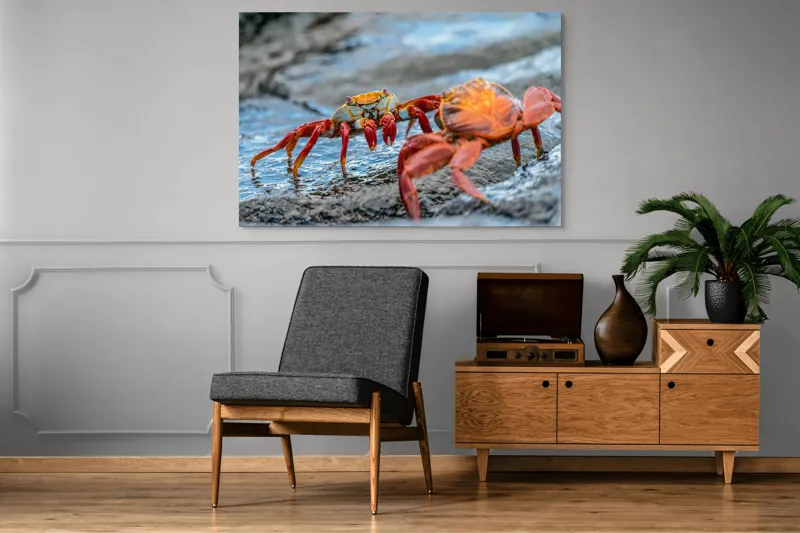 Tablou Canvas, "Dansul crabilor pe stânci umede", Crabi, Stâncă, Apă, Picioare, Carapace, Textură, Natură, Ocean, 150 x 100 cm – poza 8