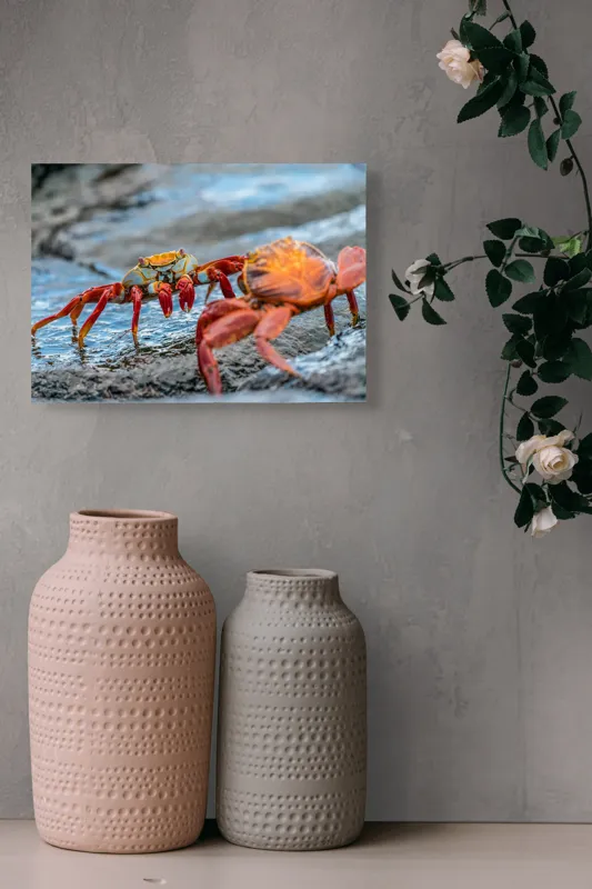 Tablou Canvas, "Dansul crabilor pe stânci umede", Crabi, Stâncă, Apă, Picioare, Carapace, Textură, Natură, Ocean, 54 x 39 cm – poza 8