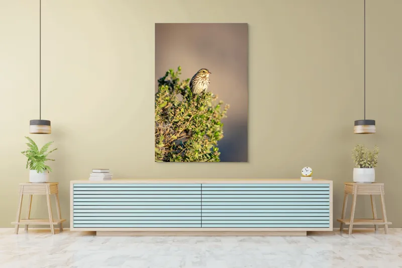 Tablou Canvas, "Pasărea pe crenguța însorită", Pasăre, Ramură, Verdeață, Cer, Natură, Penaj, Soare, Linie, Detaliu, Contrast, 100 x 150 cm – poza 4