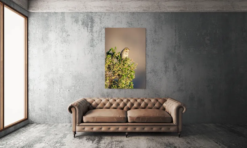 Tablou Canvas, "Pasărea pe crenguța însorită", Pasăre, Ramură, Verdeață, Cer, Natură, Penaj, Soare, Linie, Detaliu, Contrast, 100 x 150 cm – poza 6