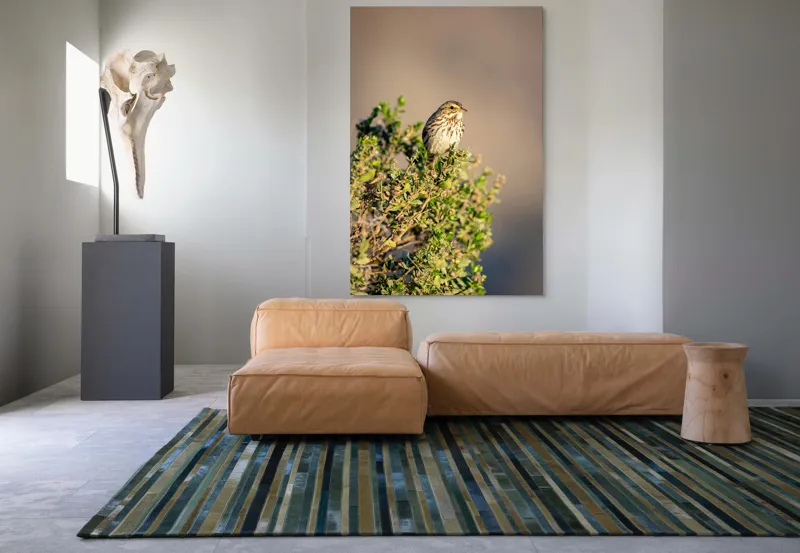 Tablou Canvas, "Pasărea pe crenguța însorită", Pasăre, Ramură, Verdeață, Cer, Natură, Penaj, Soare, Linie, Detaliu, Contrast, 100 x 150 cm – poza 7
