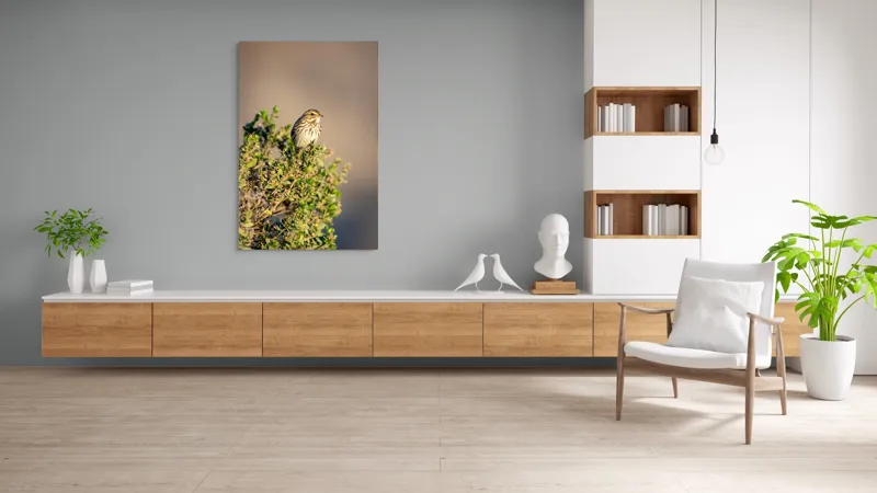 Tablou Canvas, "Pasărea pe crenguța însorită", Pasăre, Ramură, Verdeață, Cer, Natură, Penaj, Soare, Linie, Detaliu, Contrast, 100 x 150 cm – poza 8