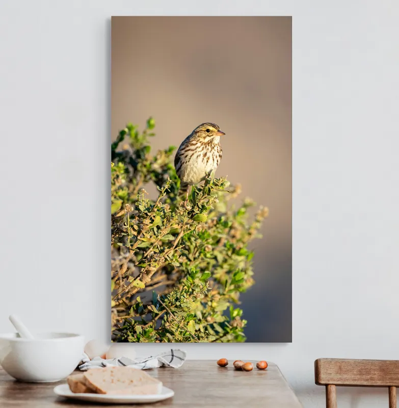 Tablou Canvas, "Pasărea pe crenguța însorită", Pasăre, Ramură, Verdeață, Cer, Natură, Penaj, Soare, Linie, Detaliu, Contrast, 50 x 90 cm – poza 3