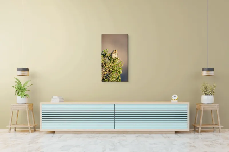 Tablou Canvas, "Pasărea pe crenguța însorită", Pasăre, Ramură, Verdeață, Cer, Natură, Penaj, Soare, Linie, Detaliu, Contrast, 50 x 90 cm – poza 6