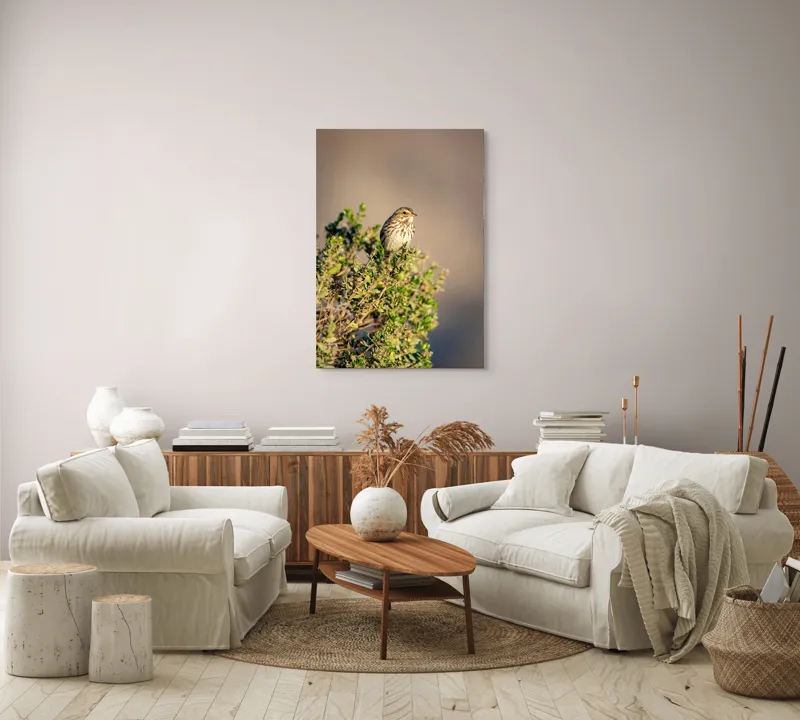 Tablou Canvas, "Pasărea pe crenguța însorită", Pasăre, Ramură, Verdeață, Cer, Natură, Penaj, Soare, Linie, Detaliu, Contrast, 70 x 100 cm – poza 4