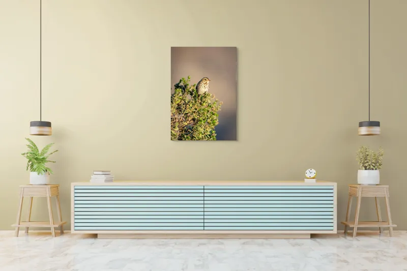 Tablou Canvas, "Pasărea pe crenguța însorită", Pasăre, Ramură, Verdeață, Cer, Natură, Penaj, Soare, Linie, Detaliu, Contrast, 70 x 100 cm – poza 5