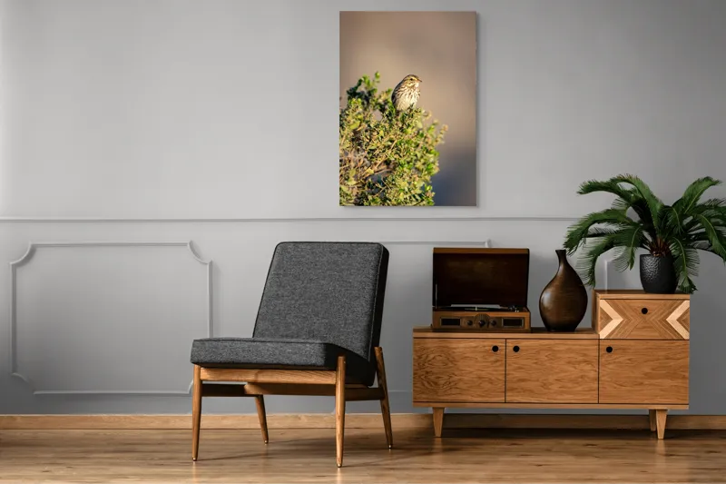 Tablou Canvas, "Pasărea pe crenguța însorită", Pasăre, Ramură, Verdeață, Cer, Natură, Penaj, Soare, Linie, Detaliu, Contrast, 70 x 100 cm – poza 6