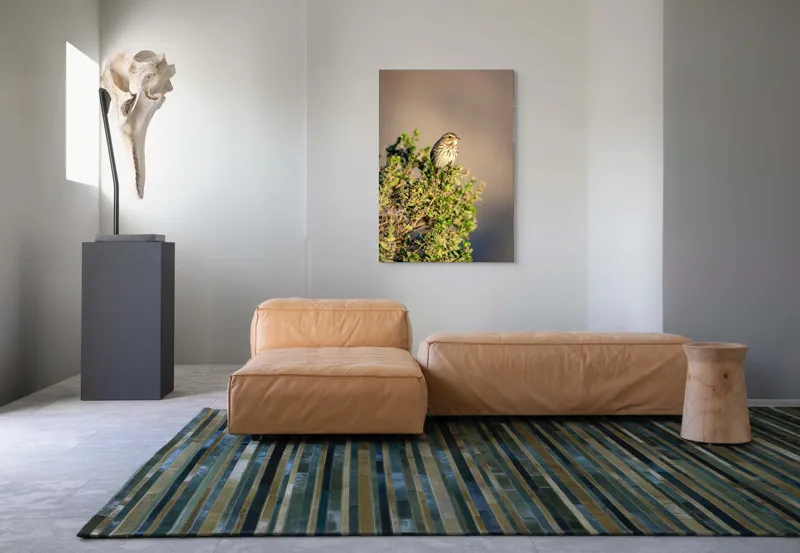 Tablou Canvas, "Pasărea pe crenguța însorită", Pasăre, Ramură, Verdeață, Cer, Natură, Penaj, Soare, Linie, Detaliu, Contrast, 70 x 100 cm – poza 7