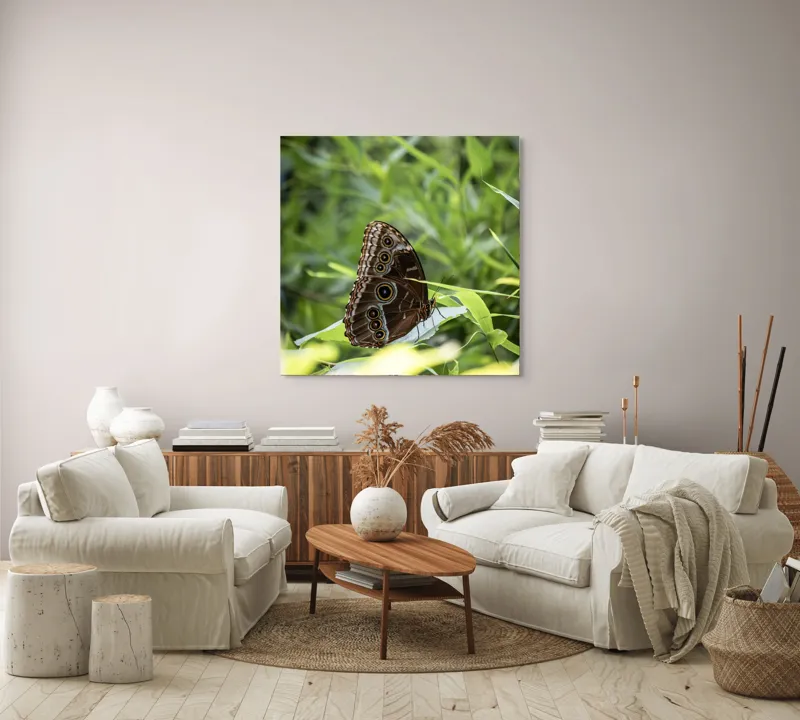 Tablou Canvas, "Fluture în reflexii de lumină verde", Fluture, Aripi, Natură, Verde, Frunze, Detaliu, Fragilitate, Eleganță, Lumină, 100 x 100 cm – poza 3