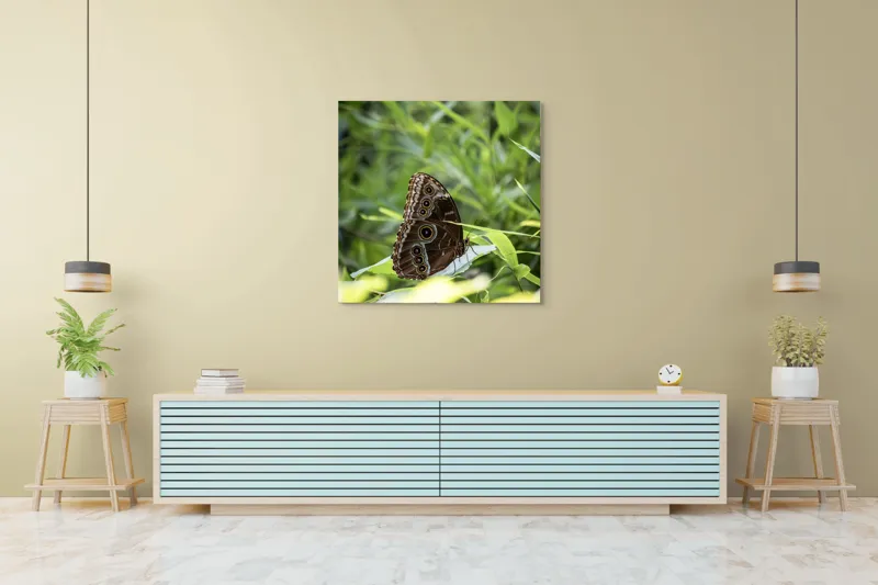 Tablou Canvas, "Fluture în reflexii de lumină verde", Fluture, Aripi, Natură, Verde, Frunze, Detaliu, Fragilitate, Eleganță, Lumină, 100 x 100 cm – poza 5